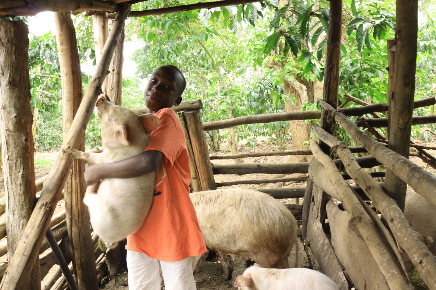 Kayanja Samuel with his piglet — Caritas Mityana